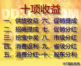 ʮ������