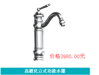 �ߴŻ���ʽ����ˮ��